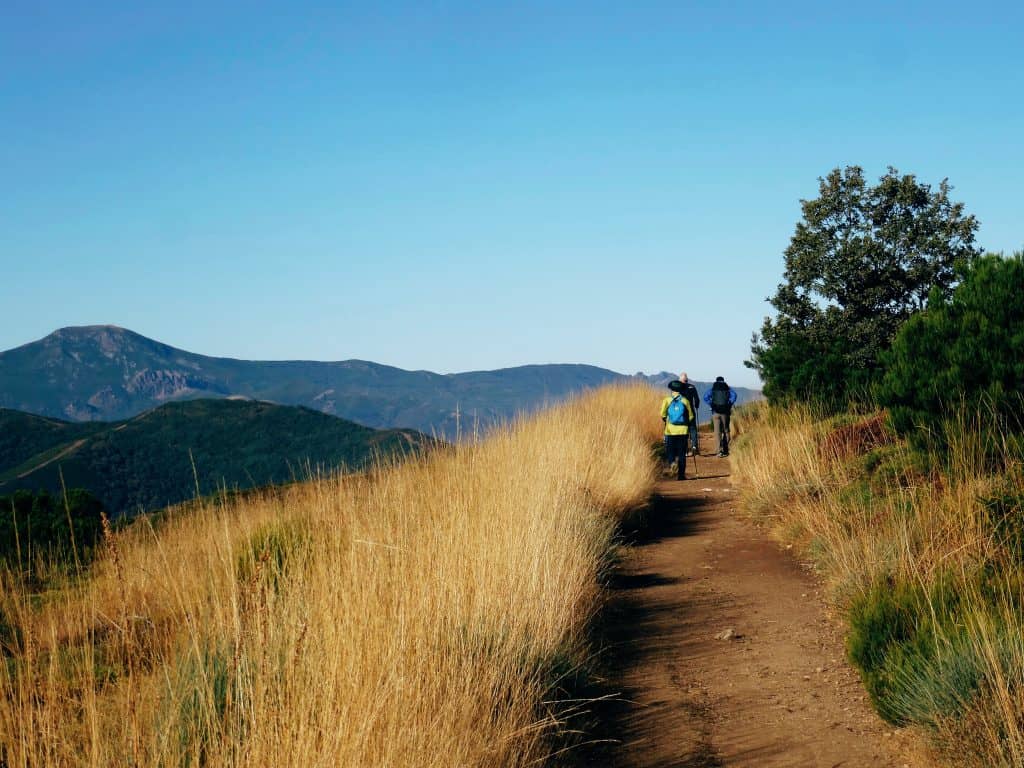 A hiking path found on pilgrimage to El Camino de Santiago.