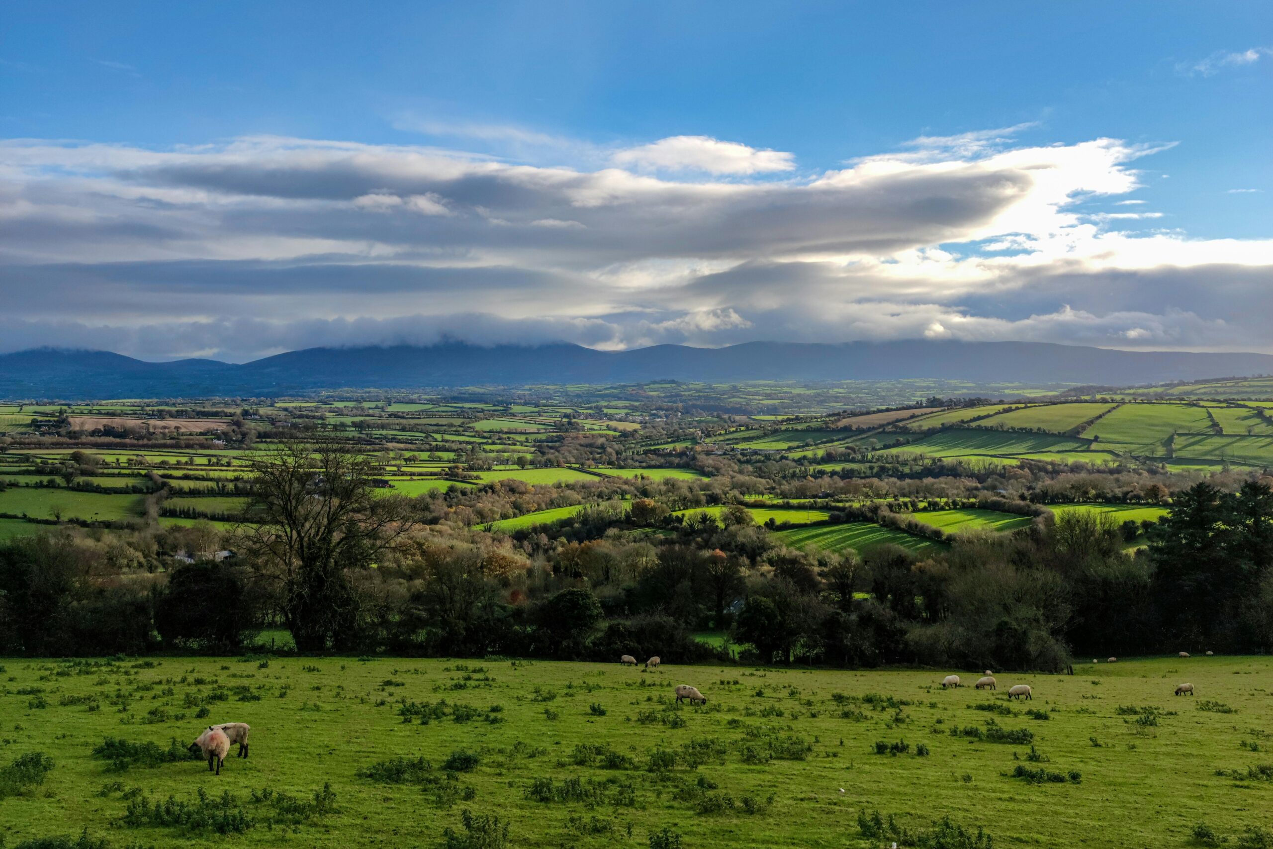 View of Graiguenamanagh, County Kilkenny, Ireland