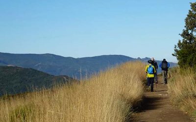 Camino_(Day-Six)